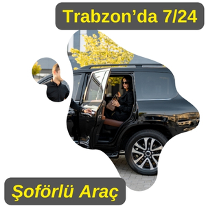 特拉布宗带司机租车