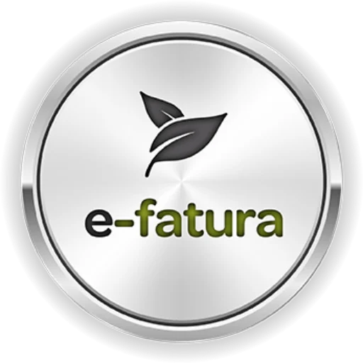 revenue administration e invoice member